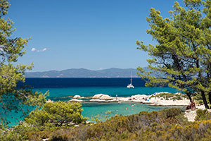 37 - Photo gallery